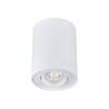 https://design-led.fr/ Plafonnier pour éclairage d'accentuation BORD-DLP blanc 1xGU10 31,10&nbsp;€ 31,10&nbsp;€ 22551