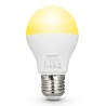 https://design-led.fr/ Ampoule LED E27 6W pilotable CCT pilotable 14,30&nbsp;€ 14,30&nbsp;€ FUT017