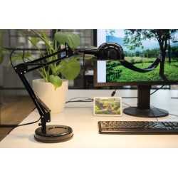 https://design-led.fr/ Lampe de bureau PIXA Noir 1xE14 31,50&nbsp;€ 31,50&nbsp;€ 19301