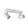 https://design-led.fr/ Luminaire mural ou plafonnier EVALO 2xGU10 Blanc 23,30&nbsp;€ 23,30&nbsp;€ 35692