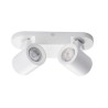 https://design-led.fr/ Luminaire mural ou plafonnier LAURIN 2xGU10 Blanc 38,70&nbsp;€ 38,70&nbsp;€ 29122