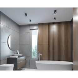 https://design-led.fr/ Plafonnier pour éclairage d'accentuation SANI-B noir 1xGU10 IP44 27,50&nbsp;€ 27,50&nbsp;€ 29240