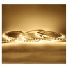 https://design-led.fr/ Ruban led 3000K 12v 9 w/m 5m 60 LED/M 45W IP54 35,20&nbsp;€ 35,20&nbsp;€ 100413