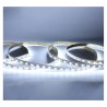 https://design-led.fr/ Ruban led 6000K 12v 9 w/m 5m 60 LED/M 45W IP54 35,20&nbsp;€ 35,20&nbsp;€ 100415