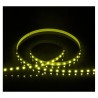 https://design-led.fr/ Ruban led RGB 12v 9 w/m 5m 60 LED/M 45W IP20 30,00&nbsp;€ 30,00&nbsp;€ 100411
