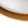 https://design-led.fr/ Plafonnier LED SOLN 17.5W Ø 380mm 3000K noir/or 40,50&nbsp;€ 40,50&nbsp;€ 37324