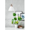 https://design-led.fr/ Strap 27 Suspension Opale E27 199,00&nbsp;€ 199,00&nbsp;€ 84313001