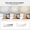 https://design-led.fr/ Lampe de Plafond Led Lunaire 55w CCT blanc dimmable par télécommande 157,00&nbsp;€ 157,00&nbsp;€ A2606