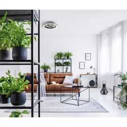 https://design-led.fr/ Plafonnier LED PLAVE 48 + 15W 3000/4000/6000K ventilateur 49cm 119,60&nbsp;€ 119,60&nbsp;€ 38033
