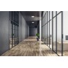 https://design-led.fr/ Plafonnier BENO ECO LED Ø200 20w CCT IP65 Noir 37,90&nbsp;€ 37,90&nbsp;€ 38383