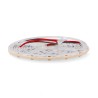https://design-led.fr/ Ruban Led 24V Cob Maori Ip20 14W/m - 5 Mètres - OR - Garantie 3 ans 32,90&nbsp;€ 32,90&nbsp;€ LM2829