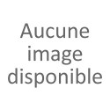 Ampoules LED
